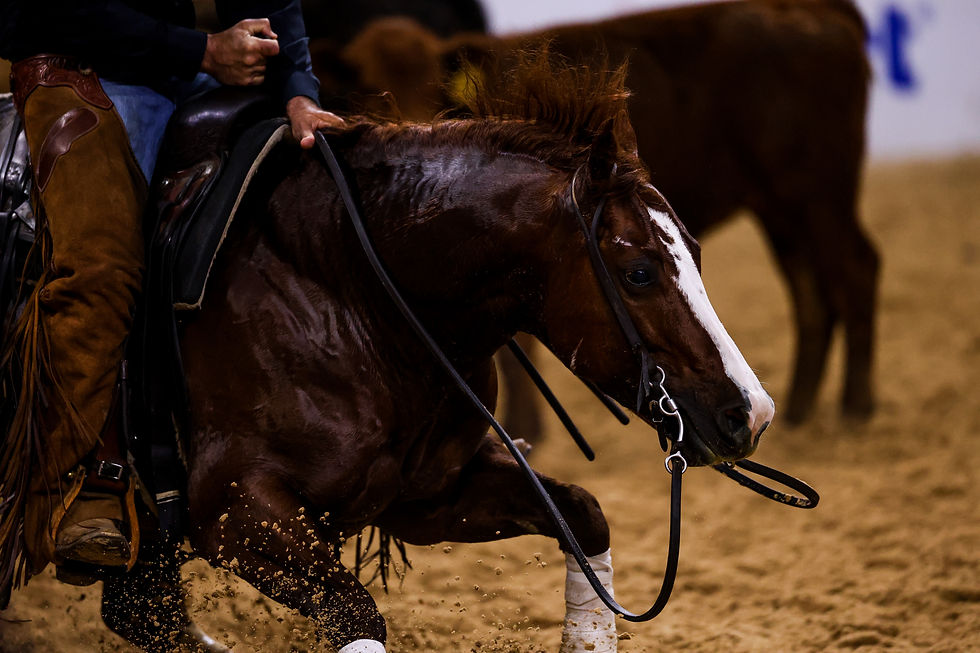 NCHA Hall of Fame and $485K+ money-earner LBR Hangem at the 2026 NCHA Super Stakes