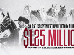 When Relentless Empire sold for $900,000 last night in Heber City, she didn't just top the sale, she headlined a $1,250,000 day for Select Genes' mares.