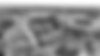 landscape_Bw_1.png