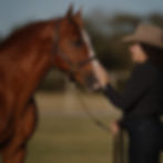 +30 Years of Industry Experience