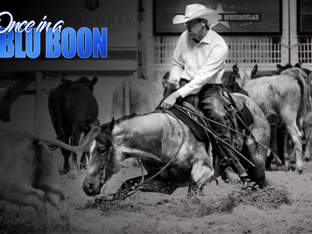 The Next Chapter Begins: $14.5M Sire Once In A Blu Boon Joins Solo Select Roster
