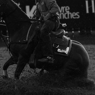 Metallic Cattack Crowned Top Sire at the Gold Buckle Futurities Spring Event
