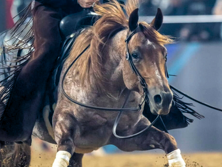 Raising the Stakes: Solo Select Goes All In on Third Edge