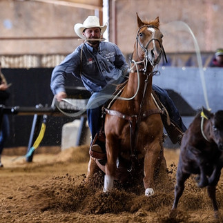 Metallic Cattack Crowned Top Sire at the Gold Buckle Futurities Spring Event