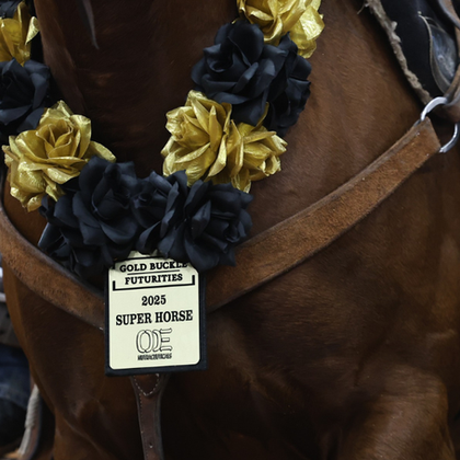 Crowned 2025 Gold Buckle Futurities Super Horse, Metallic Hot Rose Proves What True Versatility Looks Like