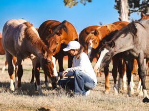 Melanie Smith walks listeners through the full scope of Breeding Logistics 101