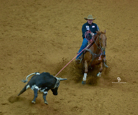 Tommy Boon Steer Stopping