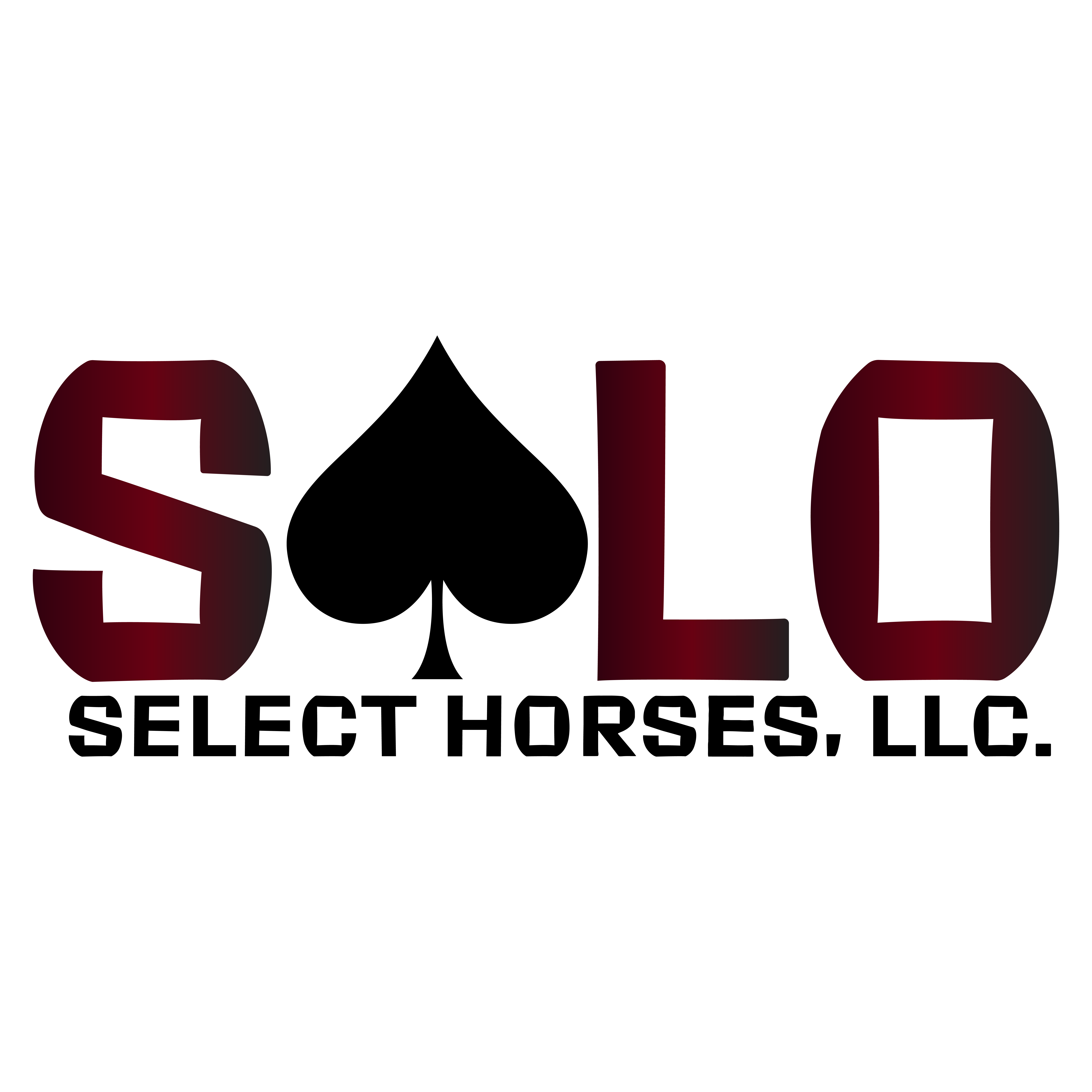 Solo Select Horses logo