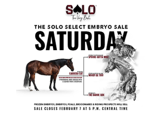 Solo Select Embryo February Sale: on Saturday, Shift Your Breeding Season Into High Gear