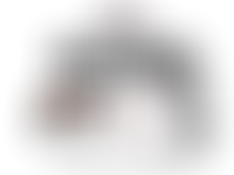 Solo Select Embryo February Sale: on Saturday, Shift Your Breeding Season Into High Gear