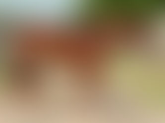 Solo Select Strengthens Select Genes Offering With $680,425 Producer Catnaps