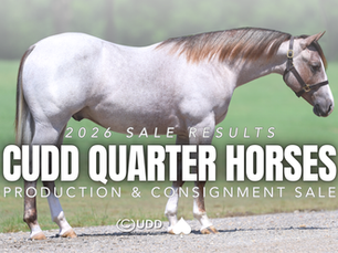 9 Solo Consignments Bring $324K in $1.2 Million Cudd Sale—Including High-Seller by The Darkk Side