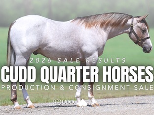 9 Solo Consignments Bring $324K in $1.2 Million Cudd Sale—Including High-Seller by The Darkk Side