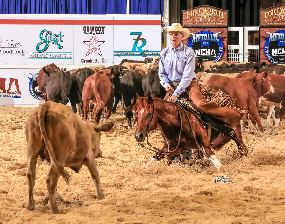 The Animal and Paul Hansma