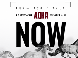 The AQHA Two Year Rule: How It Works, the Impact, and Your Role