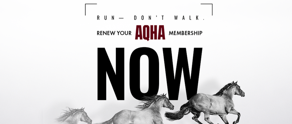 The AQHA Two Year Rule: How It Works, the Impact, and Your Role