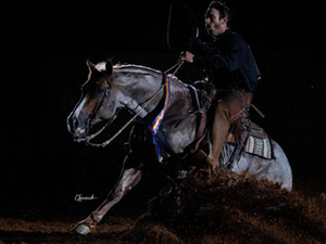 The Bonds Ranch program has produced many good horses over the years, but Jaymes Bond is something different. Something rare. The kind of horse that changes everything. And his story began long before the bright lights of the Will Rogers Coliseum.