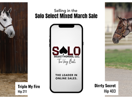 Solo Select Mixed March Sale