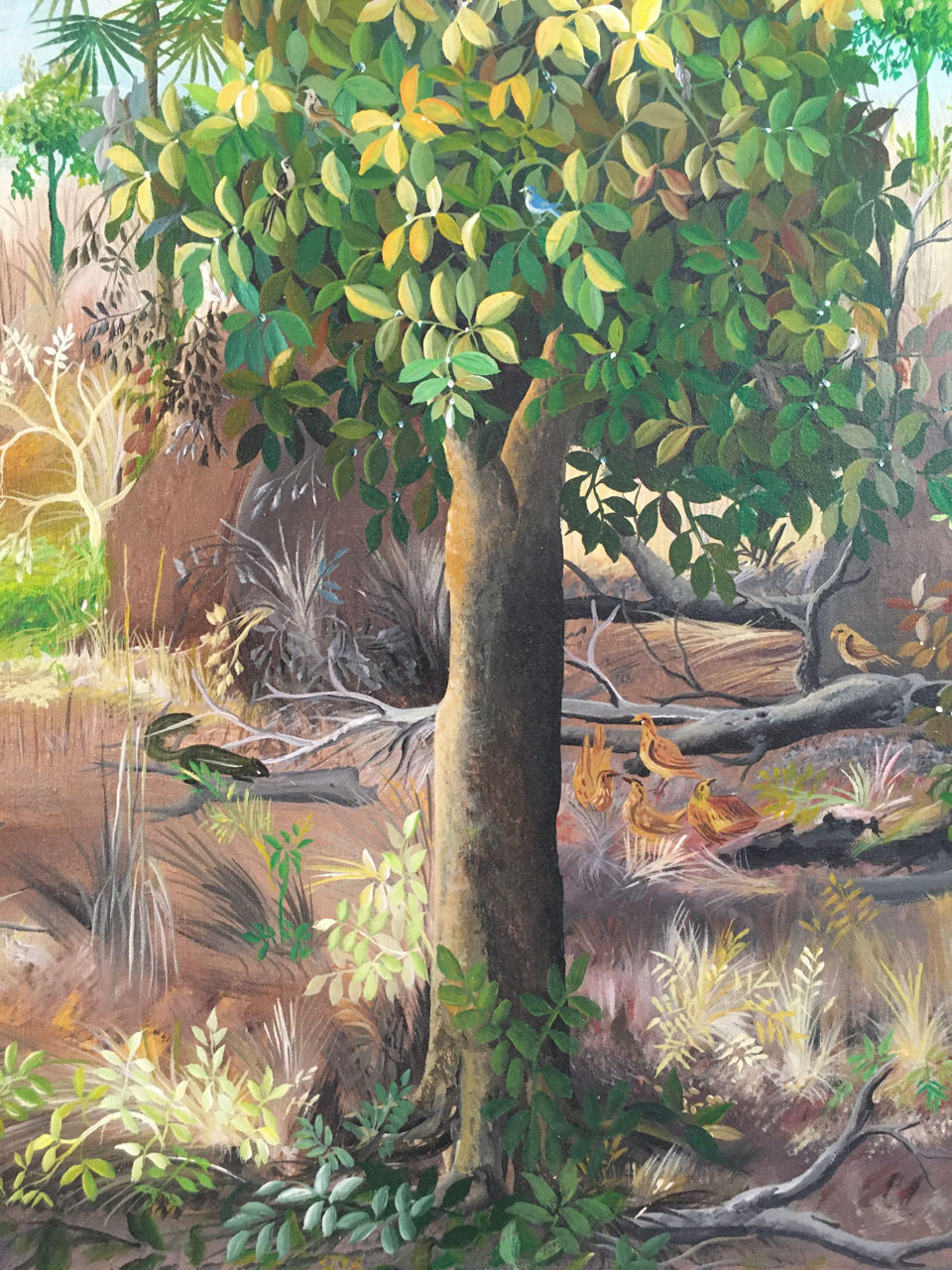 Miniature : Idrissa Diarra, Forêt tropicale n°3