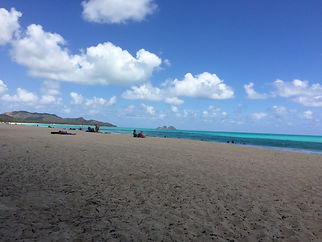IMG_5741.jpeg