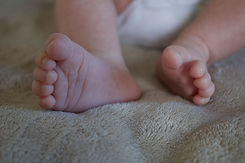 IMG_3506.jpeg
