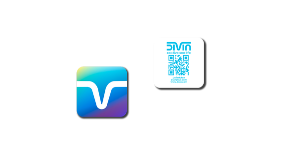 Two clean and simple business card designs for divin. One card showcases the abstract "V" logo with a colorful gradient. The other uses a white background to highlight the blue divin logo, tagline, a QR code, and basic contact details.