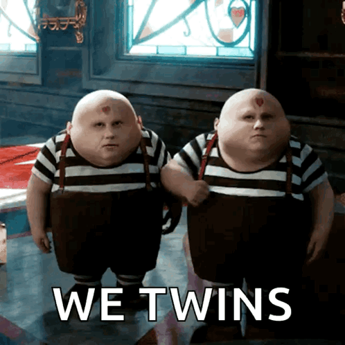 twins