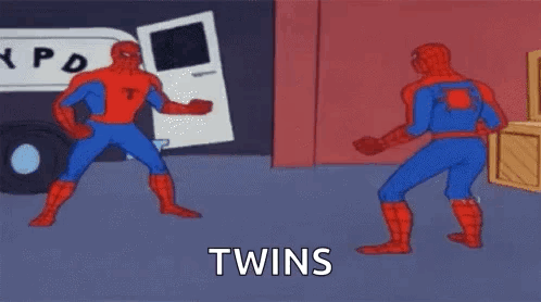 twins