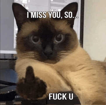 miss you