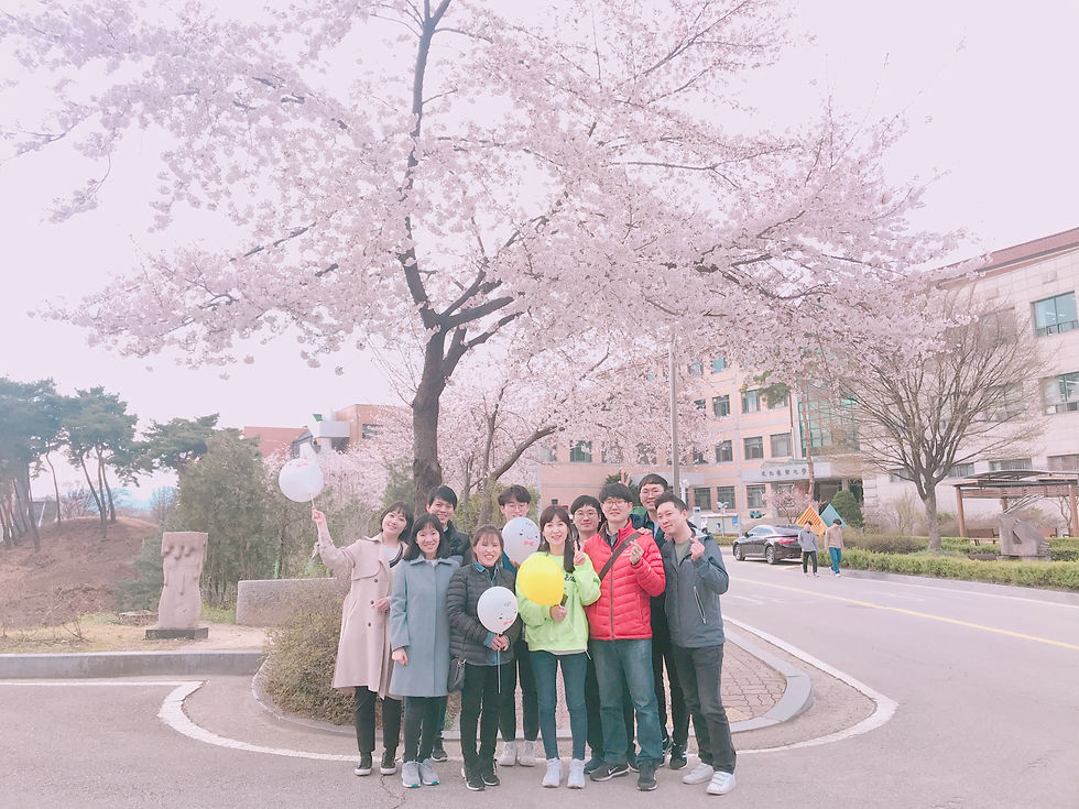 20190528 교내벚꽃