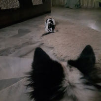 photo6264929788514905372 - Marc Bligh.jpg