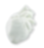 KexcelledFilamentsBasic_킥셀드필라멘트베이직(7)_메이