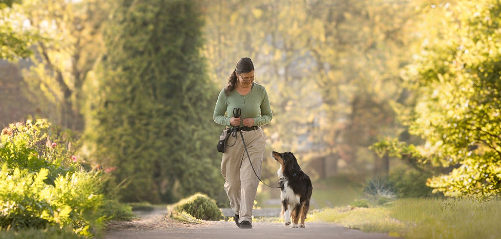 The trainer and her Australian Shepherd enjoy a peaceful walk at the University of Kentucky Arboretum