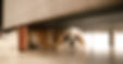 A small dog hiding under a couch