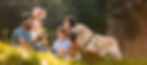 Mom, dad and 2 kids enjoy a family picnic accompanied by their calm golden retriever