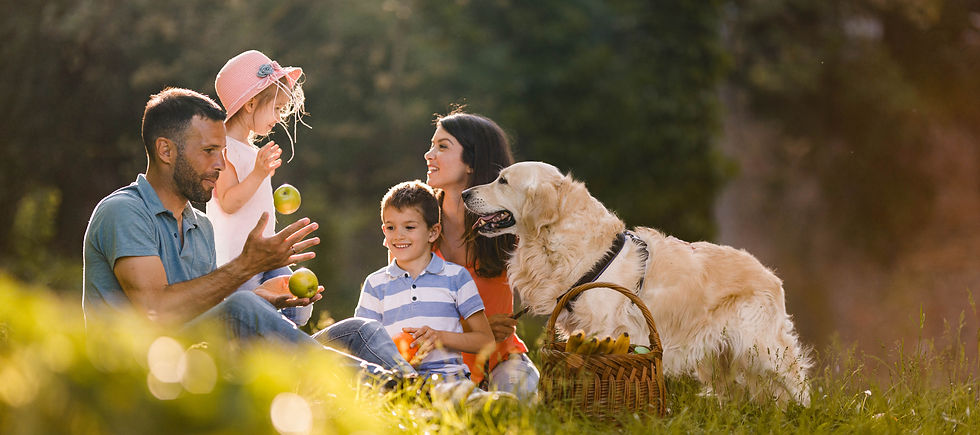 Mom, dad and 2 kids enjoy a family picnic accompanied by their calm golden retriever