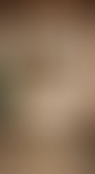 Rustic vs. Contemporary: How to Choose the Right Hardwood Flooring Style