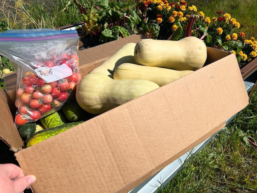 Supporting Emil Anderson Group’s Community Garden in Rosedale