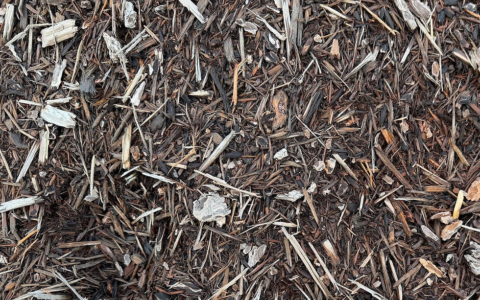 Close-up of regular bark mulch showing shredded brown bark with copper and red tones