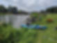 Habitat 5.jpeg