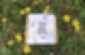 _DSC02447_edited.jpg
