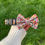 Thumbnail: Spring floral fabric collar