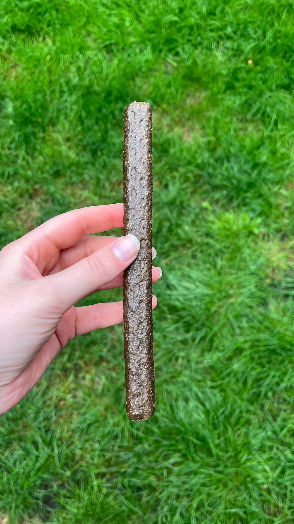 Thumbnail: Chicken & Salmon sticks