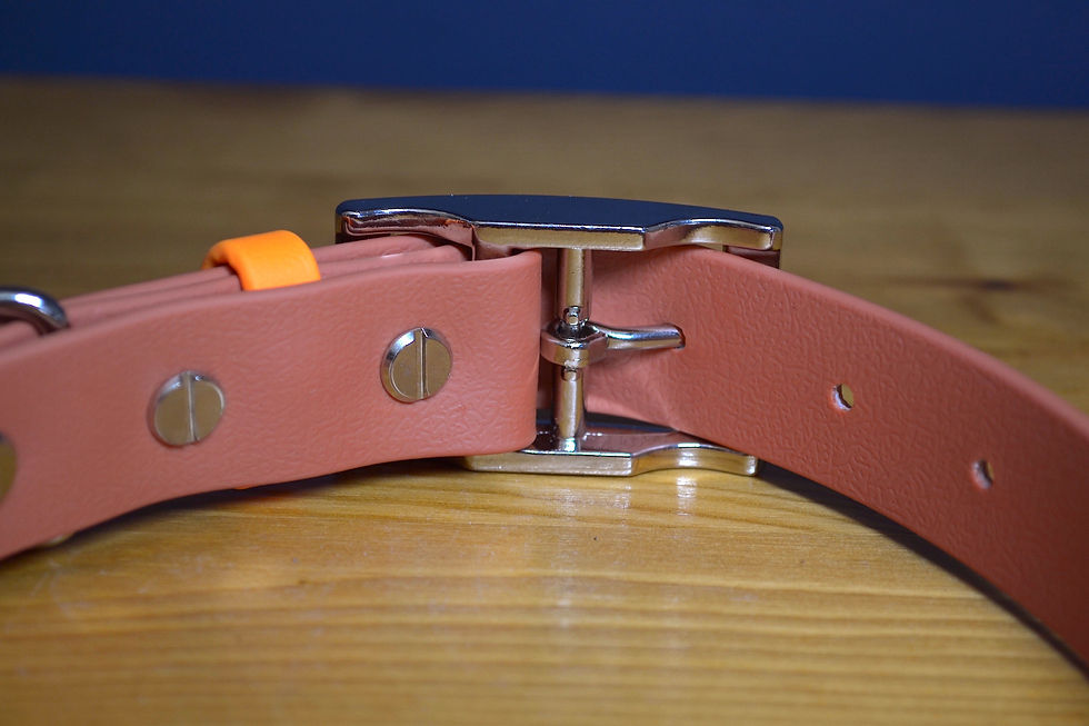 Thumbnail: Brandy Waterproof Collar