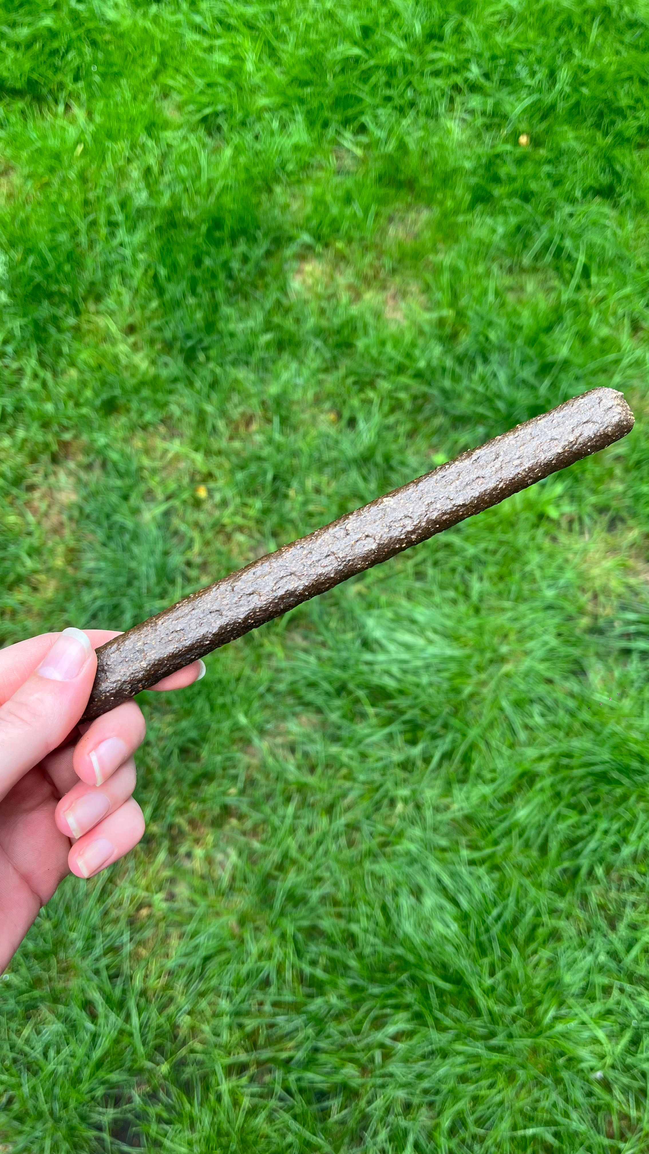 Chicken & Salmon sticks