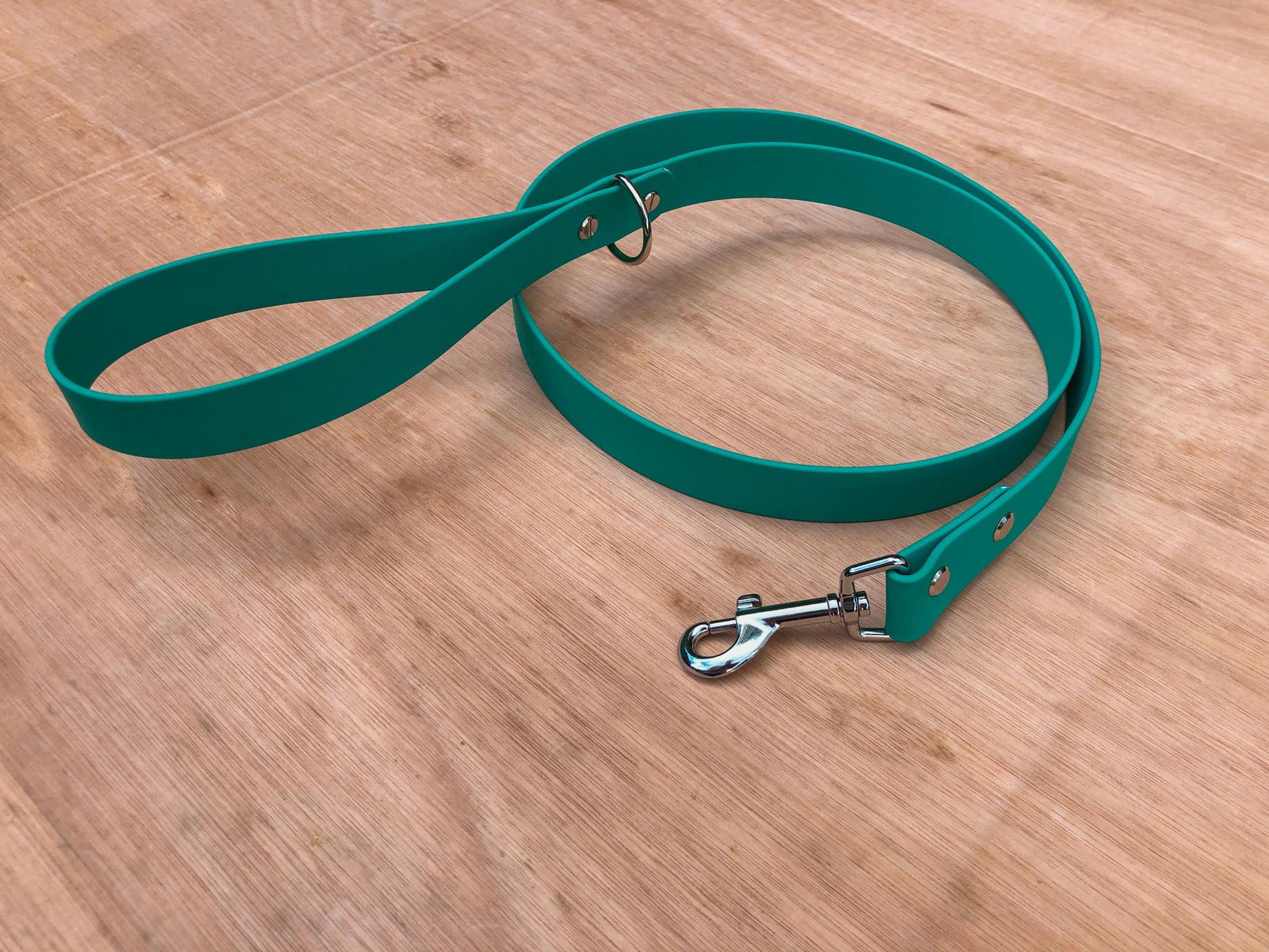 Teal Waterproof Lead
