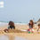 תמונה ממוזערת: ערכת כלי חול sand pal