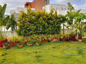 Gardener Near Me: Why Choose Karat Farms Gardening Services
