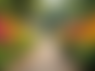 Creating Stunning Landscapes for Your Home