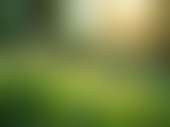 Gardening Solutions by Karat Farms Bengaluru